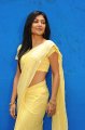 Kamalini Mukherjee in Saree Gallery