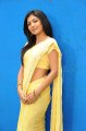 Kamalini Mukherjee in Saree Gallery