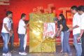 Kamina Audio Release Stills