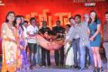 Kameena Audio Release Stills