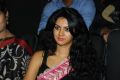 Kamna Jethmalani Saree Hot Stills @ Band Balu Audio Release
