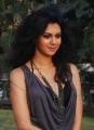 Actress Kamna Jethmalani Hot Photoshoot Gallery