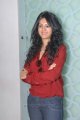 Kamna Jethmalani Latest Photo Shoot Pics