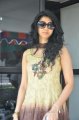 Kamna Jethmalani at Movie 9 Entertainments New Film Launch