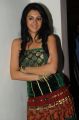 Actress Kamna Jethmalani New Pics @ Romance Audio Release Function