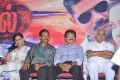 Kanal Movie Audio Launch Stills