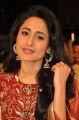 Heroine Pragya Jaiswal @ Kanche Movie Audio Launch Function Stills