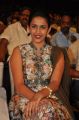 Niharika Konidela @ Kanche Movie Audio Launch Function Stills