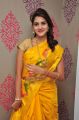 Sita Narayan @ Kancheevaram Collection Launch at Srinivasa Textiles