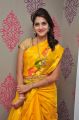 Sita Narayan @ Kancheevaram Collection Launch at Srinivasa Textiles