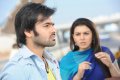 Kandireega Telugu Movie Photos Stills