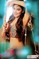 Actress Kangana Sharma Hot Portfolio Photo Shoot Stills