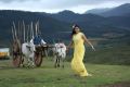 Actress Varsha Aswathy in Kangaroo Movie Photos