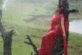 Actress Varsha Ashwathi Hot in Kangaroo Movie Stills