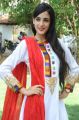 Telugu Actress Kanika Kapoor Photos at Tippu Movie Launch
