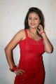 Actress Kannika Tiwari Photos in Red Dress