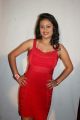 Actress Kanika Tiwari Photos in Red Dress