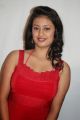 Actress Kanika Tiwari Photos in Red Dress