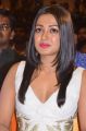 Catherine Tresa @ Kanithan Movie Audio Launch Stills