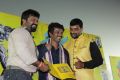 Kanna Pinna Movie Audio & Trailer Launch Stills