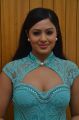 Nikesha Patel @ Karaiyoram Movie Audio Launch Stills