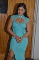 Nikesha Patel @ Karaiyoram Movie Audio Launch Stills