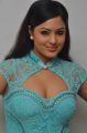 Nikesha Patel @ Karaiyoram Movie Audio Launch Stills