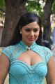 Nikesha Patel @ Karaiyoram Movie Audio Launch Stills