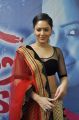 Actress Nikesha Patel @ Karaiyoram Movie Launch Stills