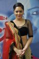 Actress Nikesha Patel @ Karaiyoram Tamil Movie Launch Stills