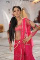 Karthika Hot Photos in Dammu