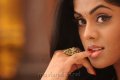 Dammu Karthika Stills