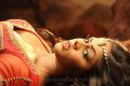 Karthika Nair Hot in Dammu