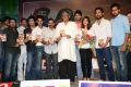 Karthikeya Movie Audio Launch Stills