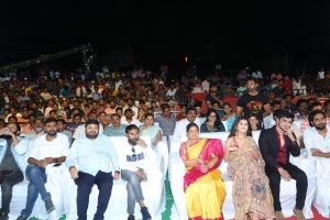 Karthikeya 2 Movie 100 Crore Celebrations Kurnool Photos