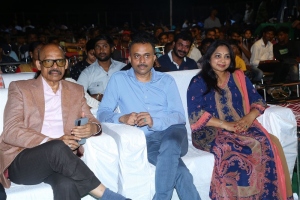 TG Venkatesh, TG Vishwa Prasad @ Karthikeya 2 100 Crore Celebrations Kurnool Photos