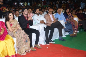 Tulasi, Anupama, Nikhil, Chandoo Mondeti, @ Karthikeya 2 100 Crore Celebrations Kurnool Photos