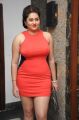 Tamil Actress Namitha Latest Hot Spicy Pics
