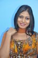 Actress at Karupazhagi Movie Audio Launch Stills