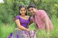 Aparna Bajpai, Ajmal Ameer in Karuppampatti Tamil Movie Stills