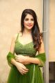 Actress Kashish Vohra Pics @ First Rank Raju Pre-Release