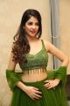 Actress Kashish Vohra Pics @ First Rank Raju Pre-Release