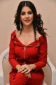 1st Rank Raju Actress Kashish Vohra Red Dress Images