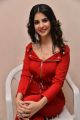 Actress Kashish Vohra Images @ 1st Rank Raju Teaser Launch