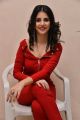 Actress Kashish Vohra Images @ 1st Rank Raju First Look Launch