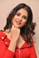 Actress Kashish Vohra Images @ First Rank Raju First Look Launch