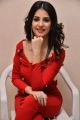 1st Rank Raju Actress Kashish Vohra Red Dress Images