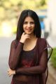 Telugu Actress Kashish Vohra New Photos @ Sapthagiri LLB Success Meet