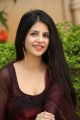 Actress Kashish Vohra New Photos @ Sapthagiri LLB Success Meet