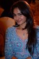 Actress Andrea @ Kashmir Flood Fund Raising Press Meet Stills